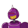 guest