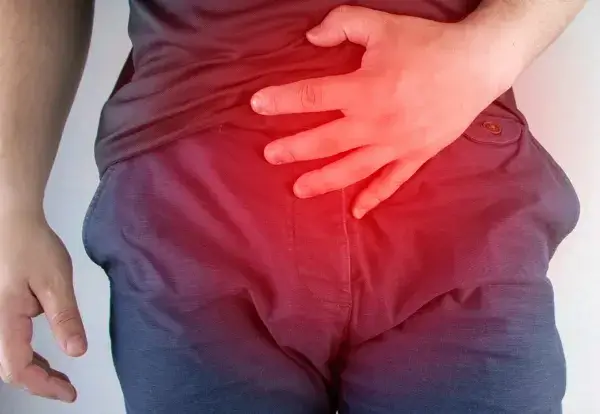 Prostata1.webp