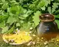 Janu-Diena-3.webp