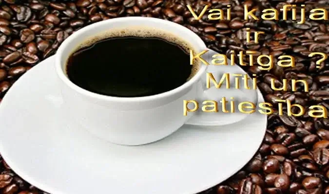 kafija