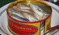 Smakojosais-surstremmings-2.webp
