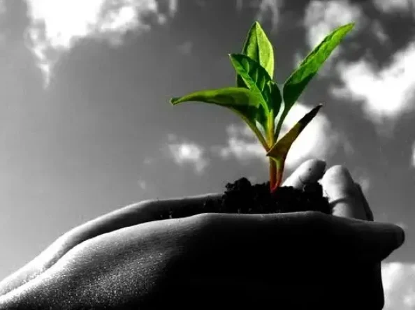 Zemes Diena, laiks padomāt par mūsu kopīgajām mājām