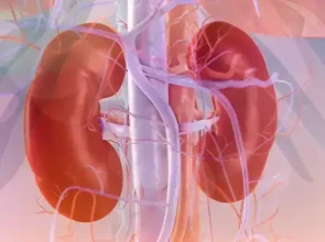 Niere un hipertensija, kādas sakarības un zinātnes atziņas