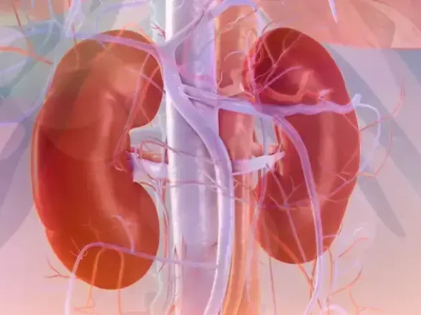 Niere un hipertensija, kādas sakarības un zinātnes atziņas