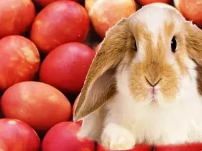 Svinam Lieldienas, mantotās tradīcijas un to ievērošana