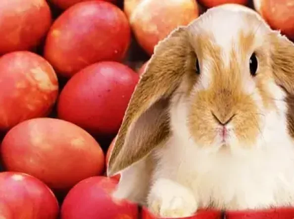 Svinam Lieldienas, mantotās tradīcijas un to ievērošana